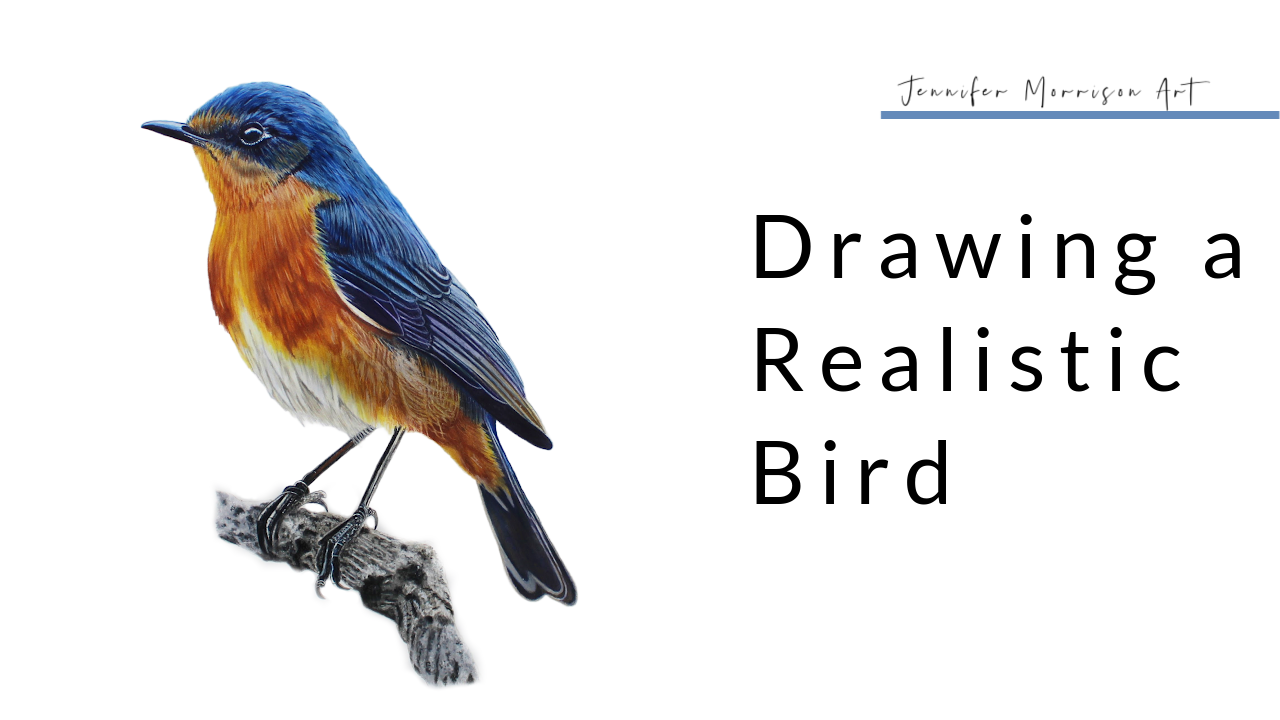 Link to Colored Pencil Drawing Video of a Bird on a Branch on YouTube