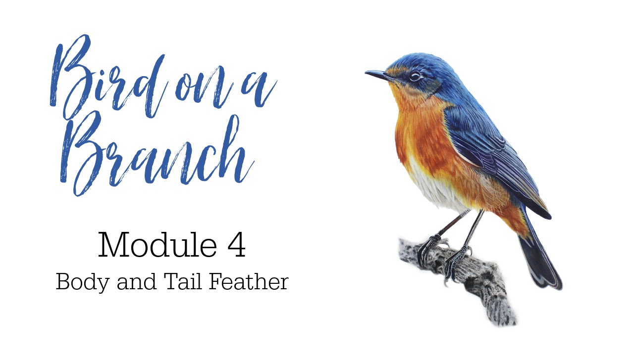 Link to Colored Pencil Drawing Tutorial of a Bird on a Branch