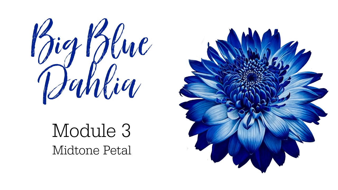 Link to Colored Pencil Drawing Tutorial of a Big Blue Dahlia