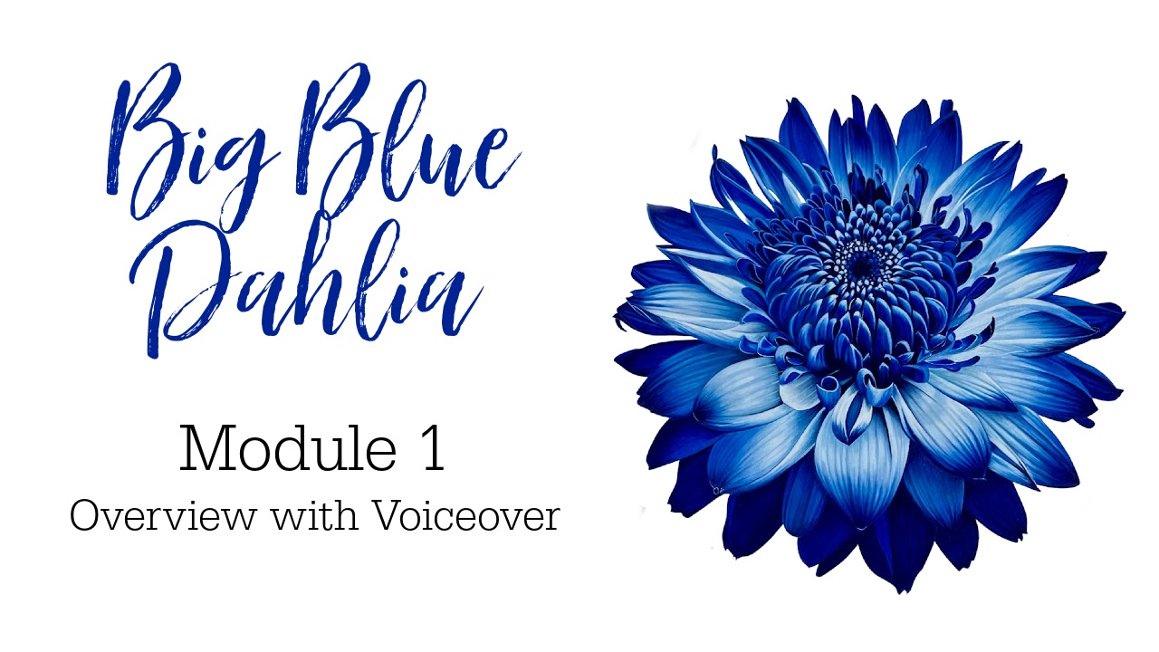 Link to Colored Pencil Drawing Tutorial of a Big Blue Dahlia
