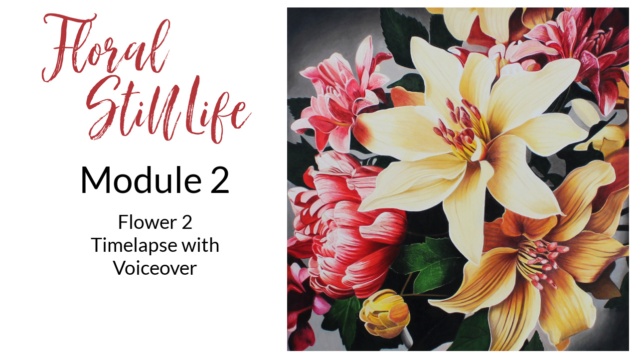 Link to Colored Pencil Drawing Video of a Big Red Dahlia