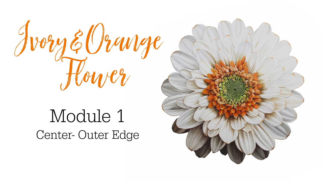 Colored Pencil Drawing Tutorial Red Rose