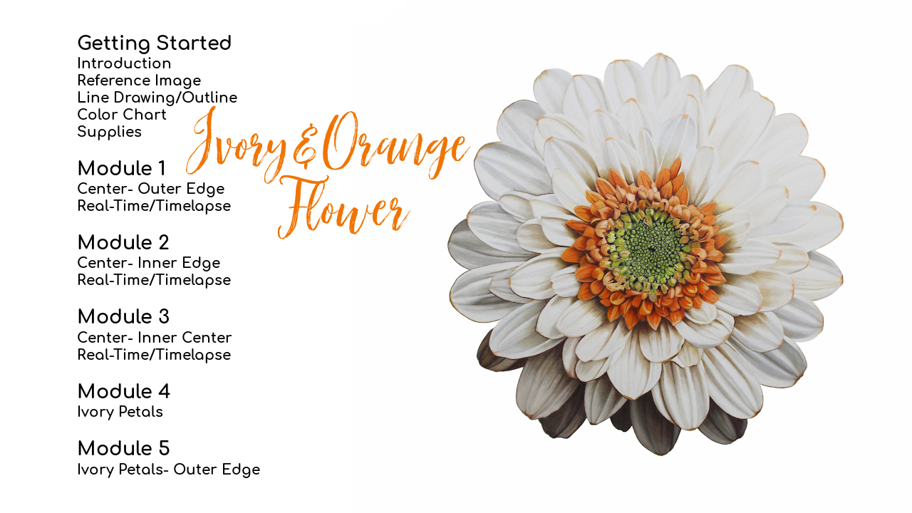 Link to Beginner Red Rose Tutorial on Patreon