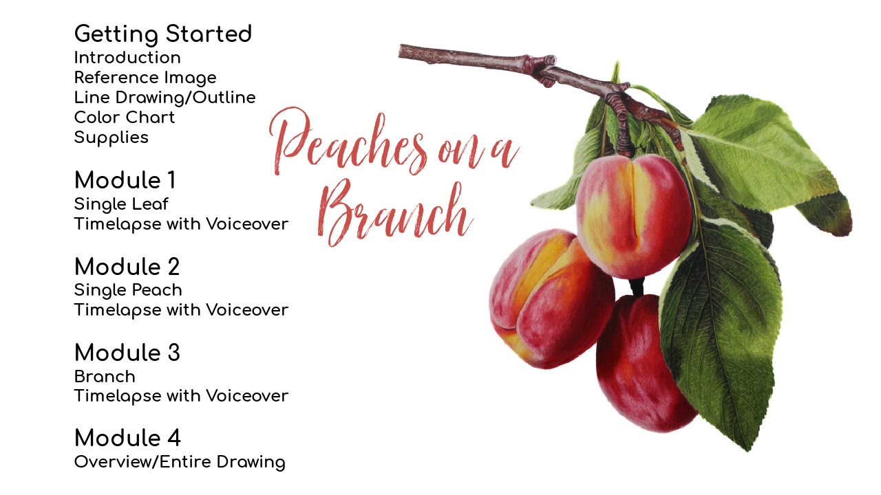 Link to Beginner Red Rose Tutorial on Patreon