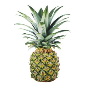 Pineapple Fine Art Print