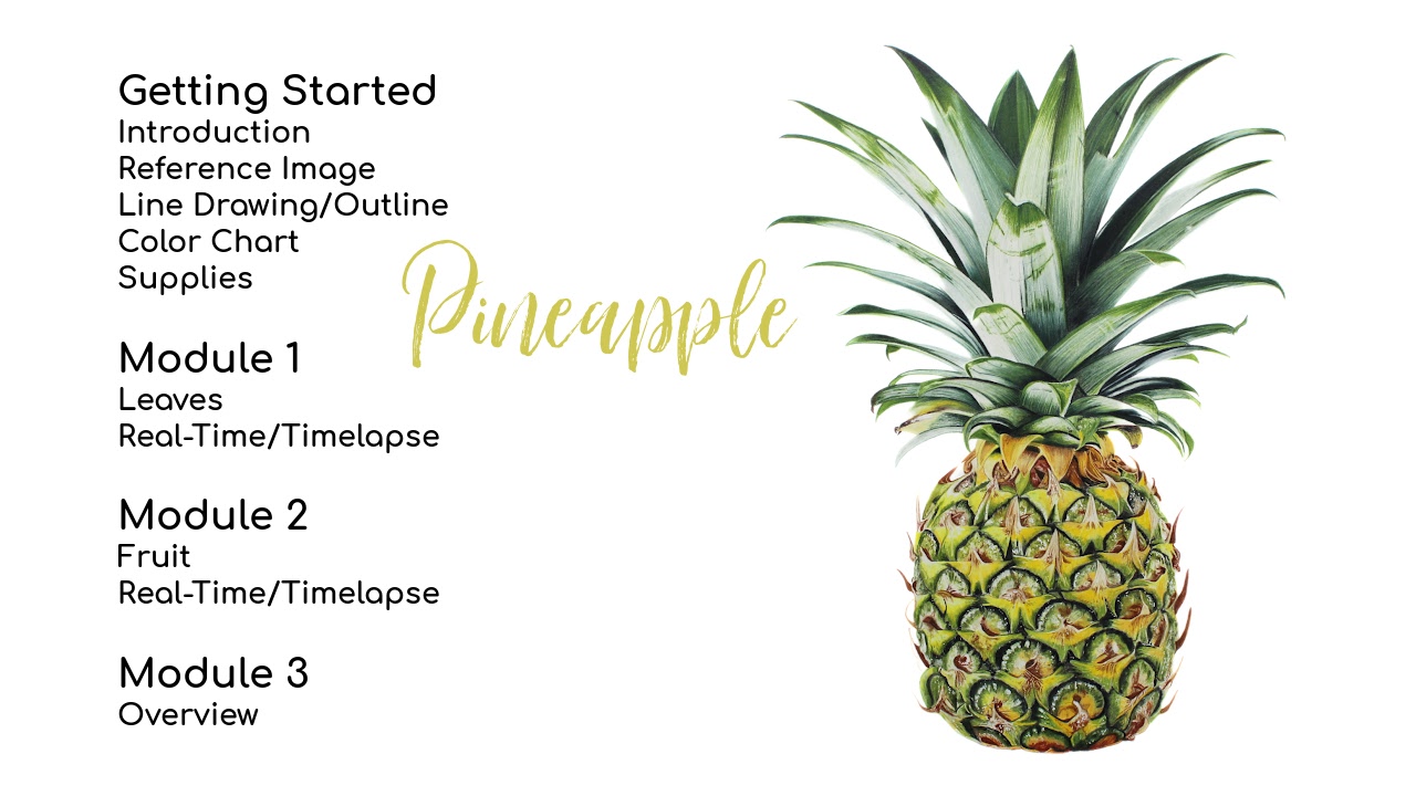 Link to Colored Pencil Drawing Tutorial of a Bird on a Branch