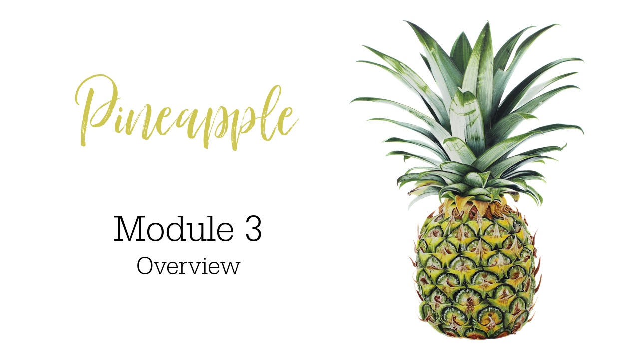 Link to Colored Pencil Drawing Tutorial of a Bird on a Branch