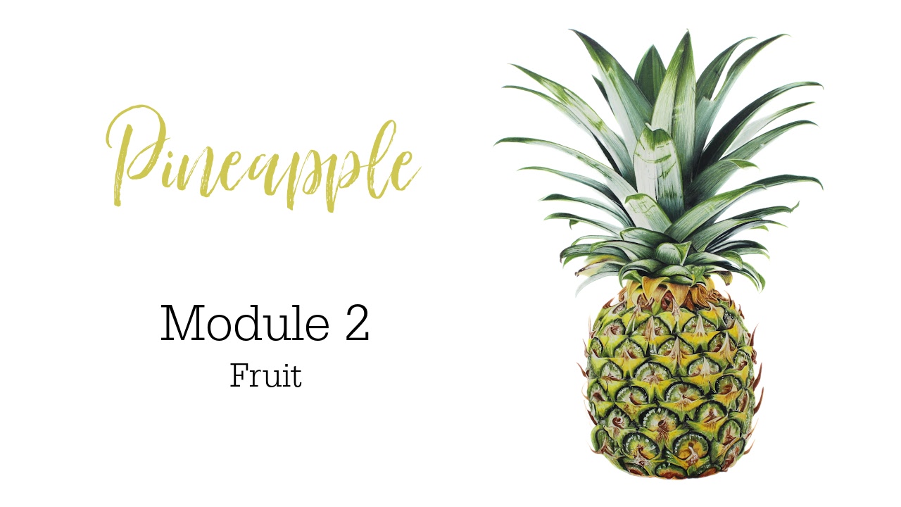 Link to Colored Pencil Drawing Tutorial of a Bird on a Branch