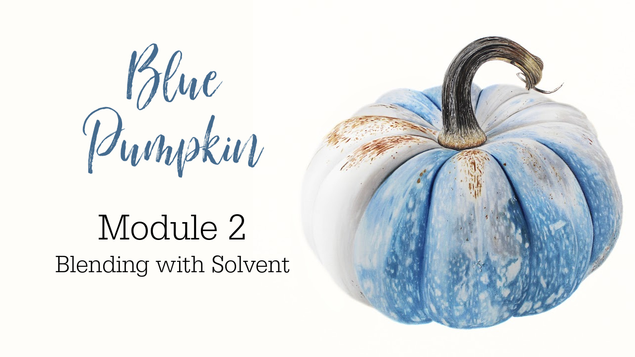 Link to Colored Pencil Drawing Tutorial of a Blue and Orange Butterfly