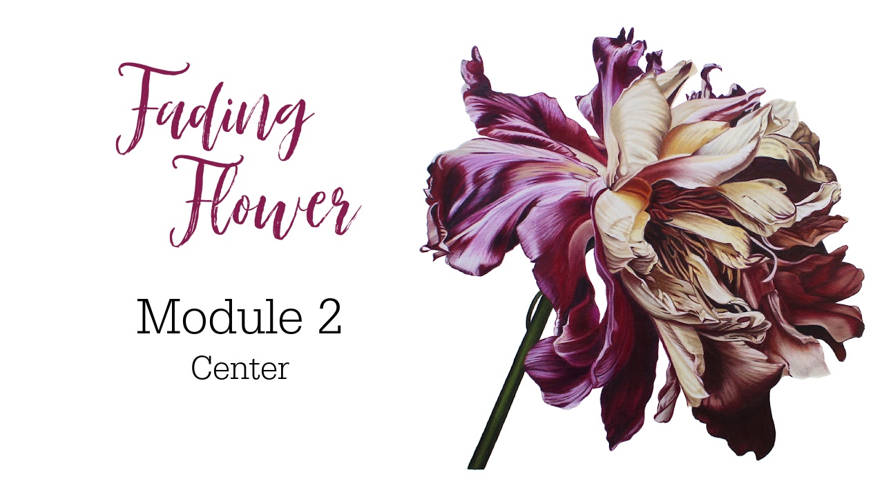 Link to Colored Pencil Drawing Tutorial of Blue Grapes