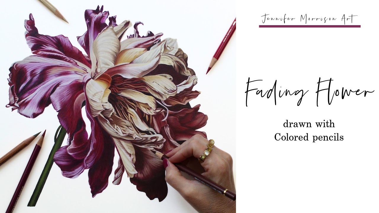 Link to Colored Pencil Drawing Video of a Blue Mum