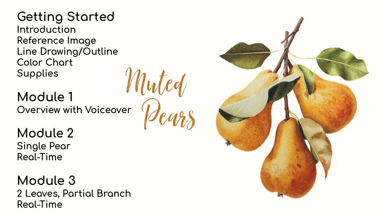 Link to Colored Pencil Drawing Tutorial of a Blue and Orange Butterfly