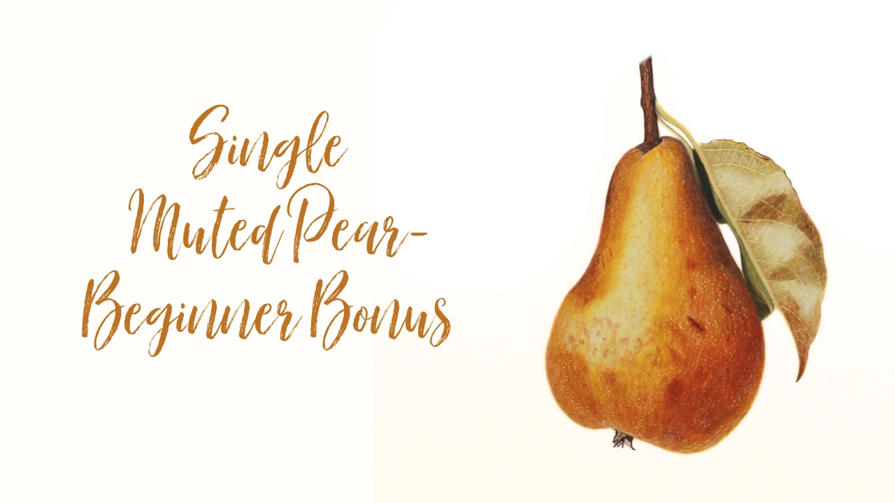 Link to Colored Pencil Drawing Tutorial of a Blue and Orange Butterfly