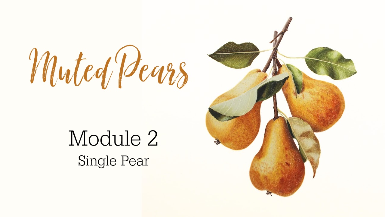 Link to Colored Pencil Drawing Tutorial of a Blue and Orange Butterfly