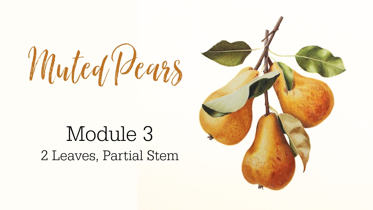 Link to Colored Pencil Drawing Tutorial of a Blue and Orange Butterfly