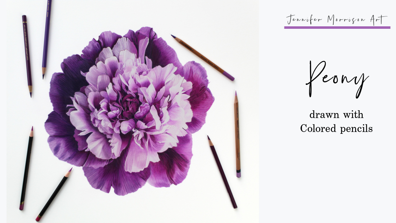 Link to Colored Pencil Drawing Video of a Blue Mum