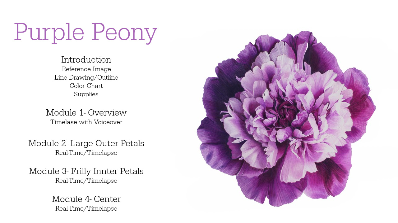 Link to Colored Pencil Drawing Tutorial of a Blue Mum