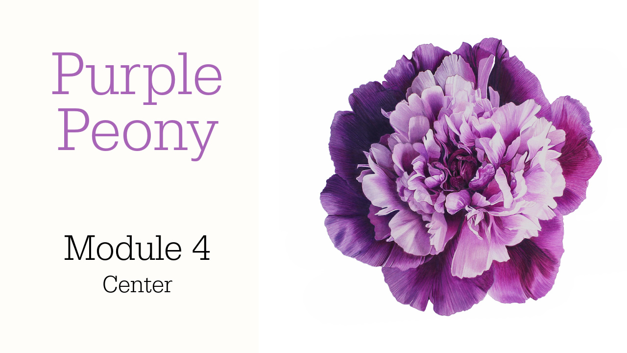 Link to Colored Pencil Drawing Tutorial of Blue Grapes