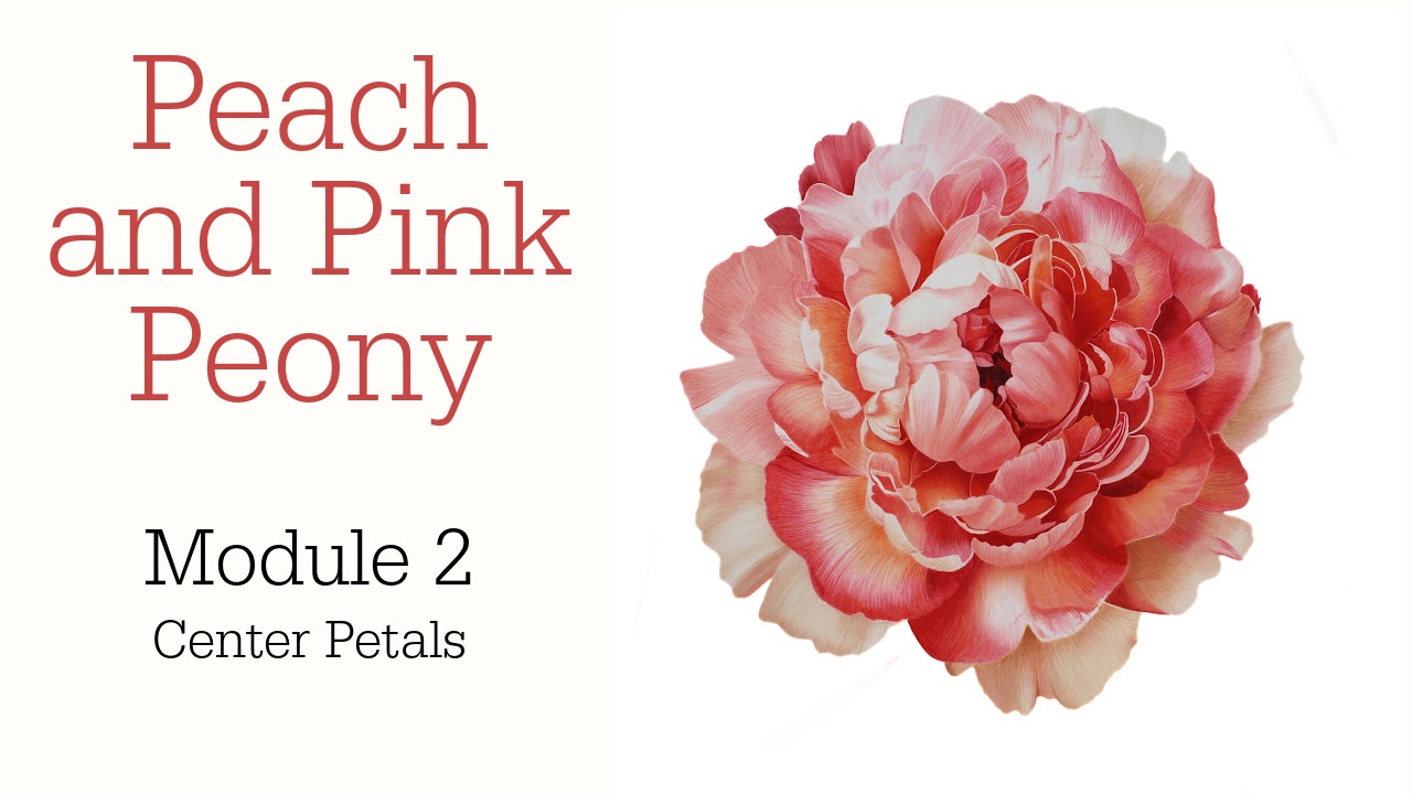 Link to Colored Pencil Drawing Tutorial of Blue Grapes