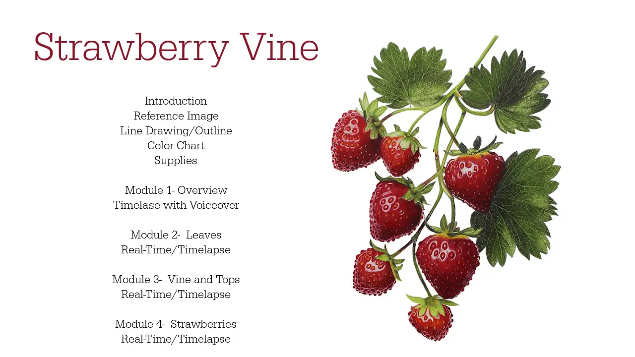 Colored Pencil Drawing Tutorial Strawberry Vine - Jennifer