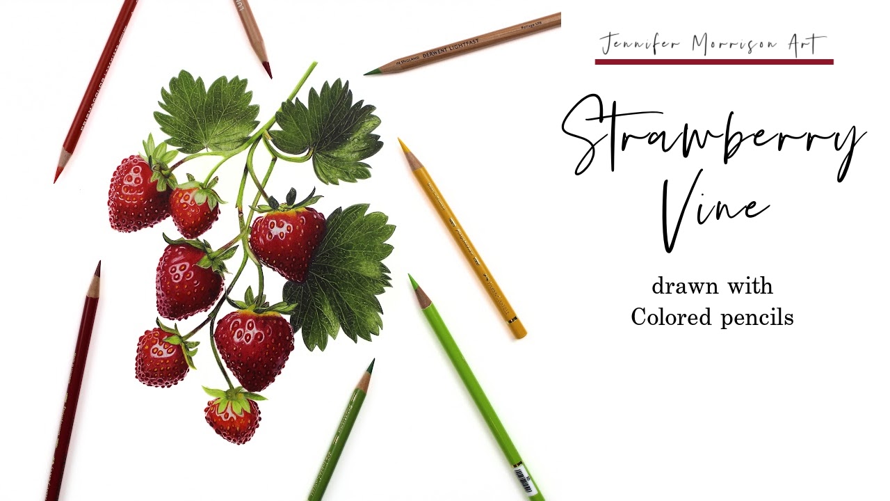 Link to Colored Pencil Drawing Video of a Blue Mum