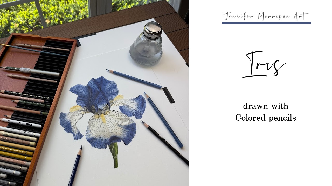 Link to Colored Pencil Drawing Video of a Blue Mum