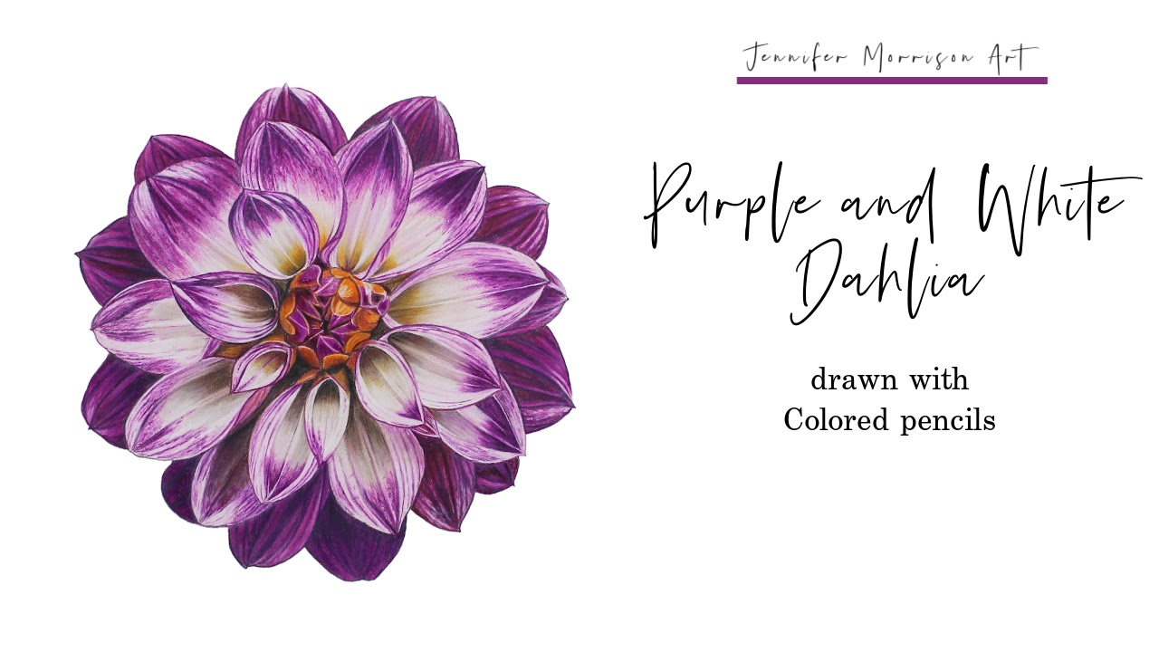 Link to Colored Pencil Drawing Video of a Blue Mum