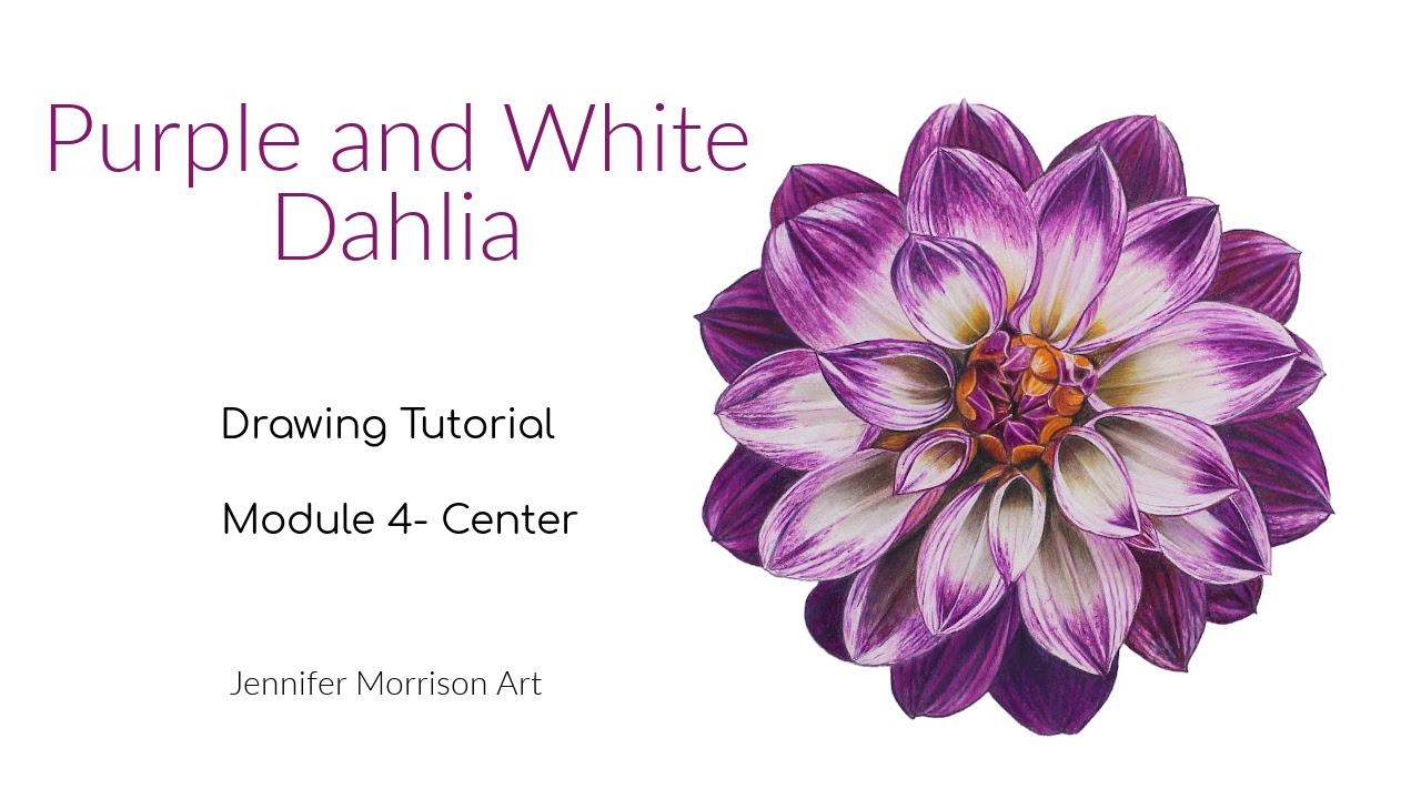 Link to Colored Pencil Drawing Tutorial of Blue Grapes