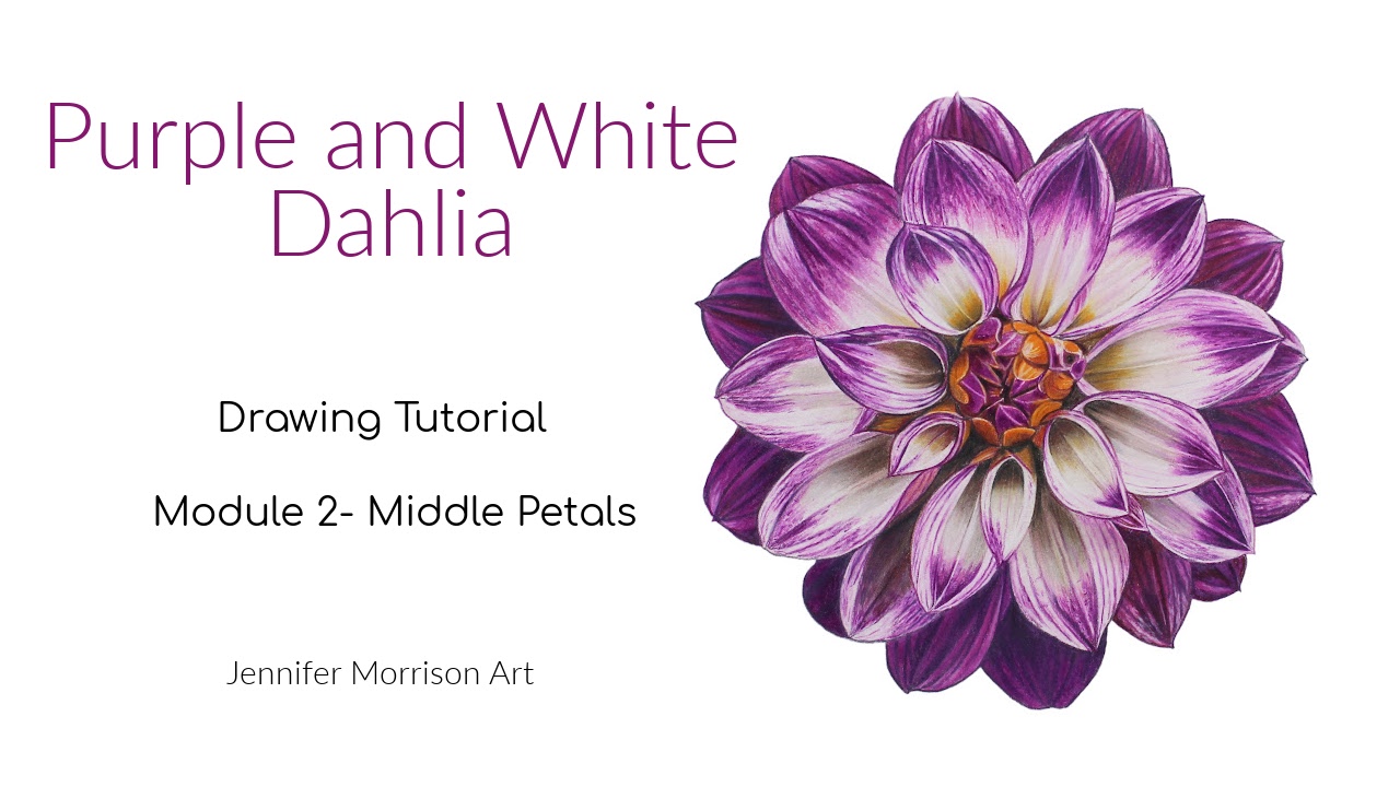 Link to Colored Pencil Drawing Tutorial of Blue Grapes