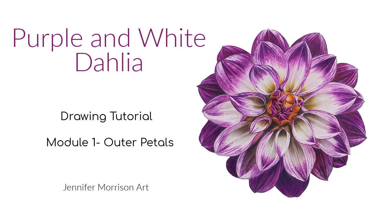 Link to Colored Pencil Drawing Tutorial of Blue Grapes