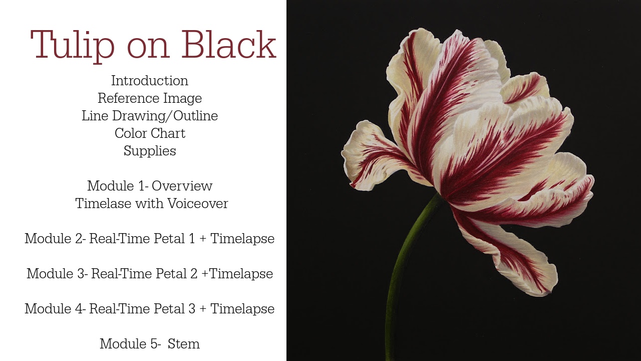 Link to Colored Pencil Drawing Tutorial of a Blue Mum