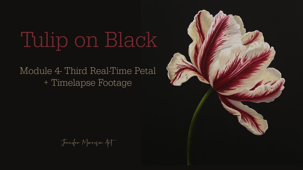 Link to Colored Pencil Drawing Tutorial of Blue Grapes