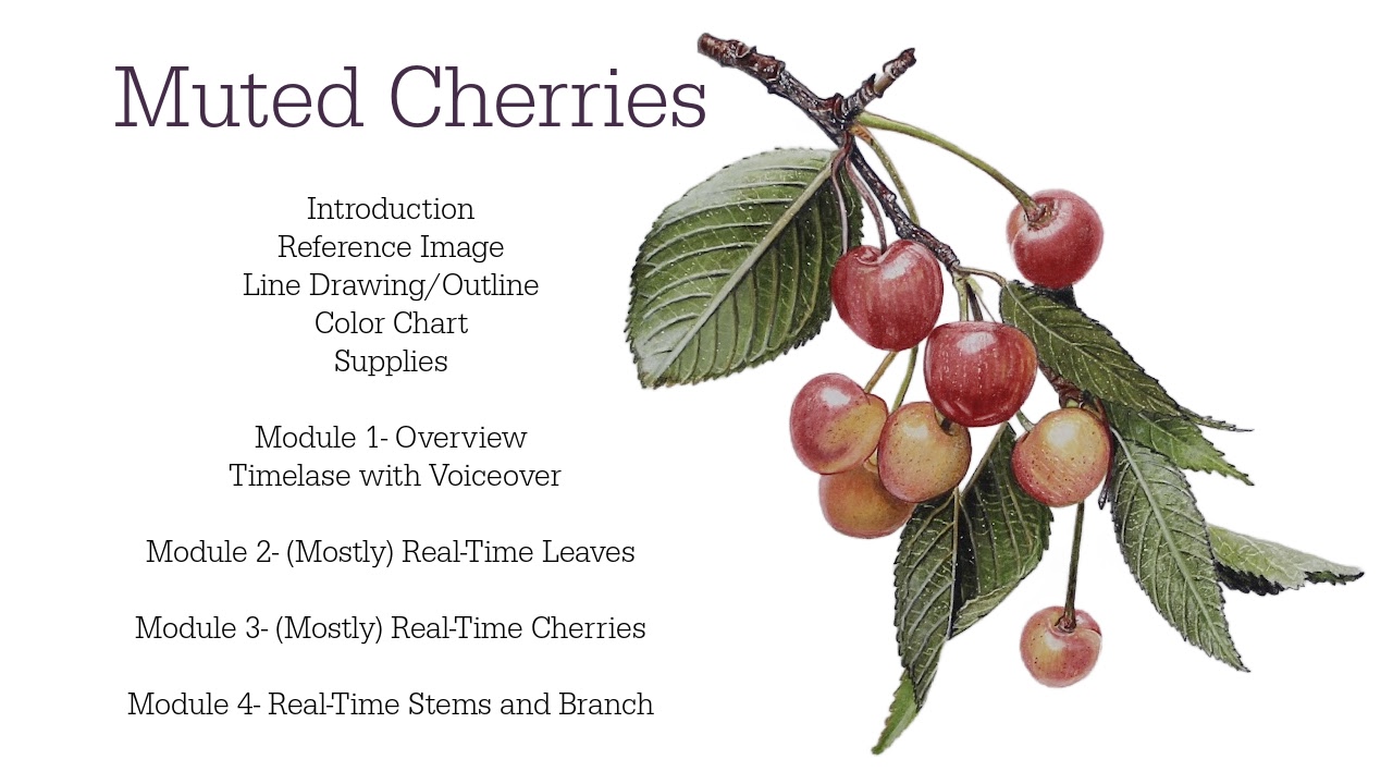 Link to Colored Pencil Drawing Tutorial of a Blue Mum