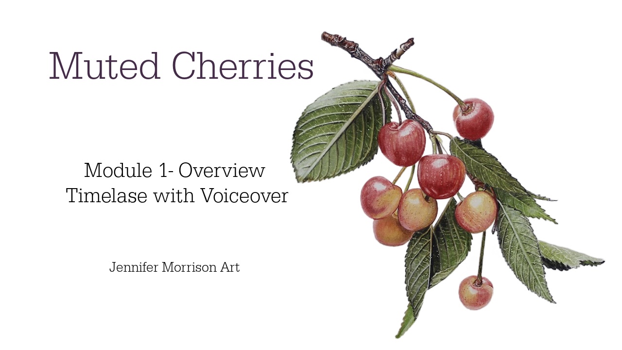 Link to Colored Pencil Drawing Tutorial of Blue Grapes