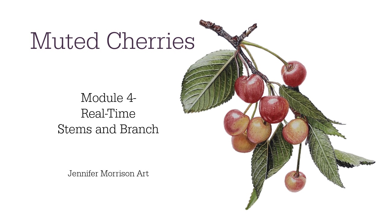 Link to Colored Pencil Drawing Tutorial of Blue Grapes