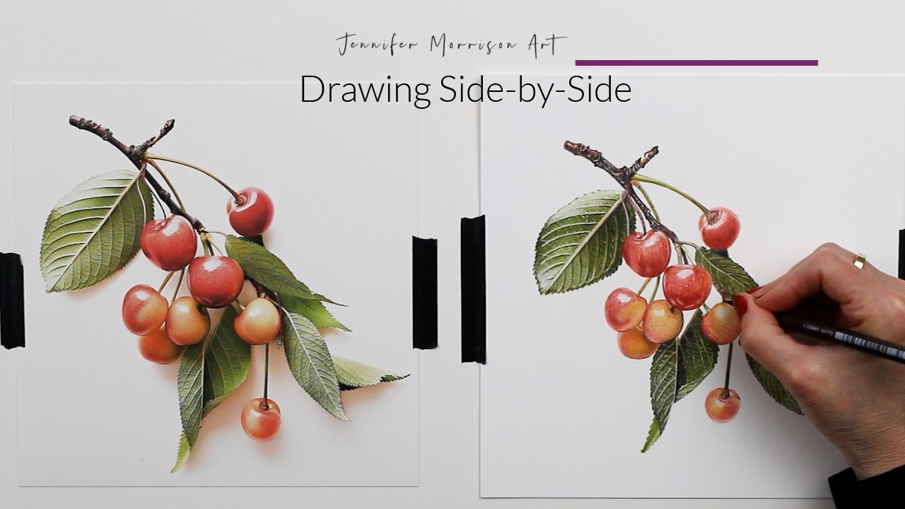 Link to Colored Pencil Drawing Video of a Blue Mum