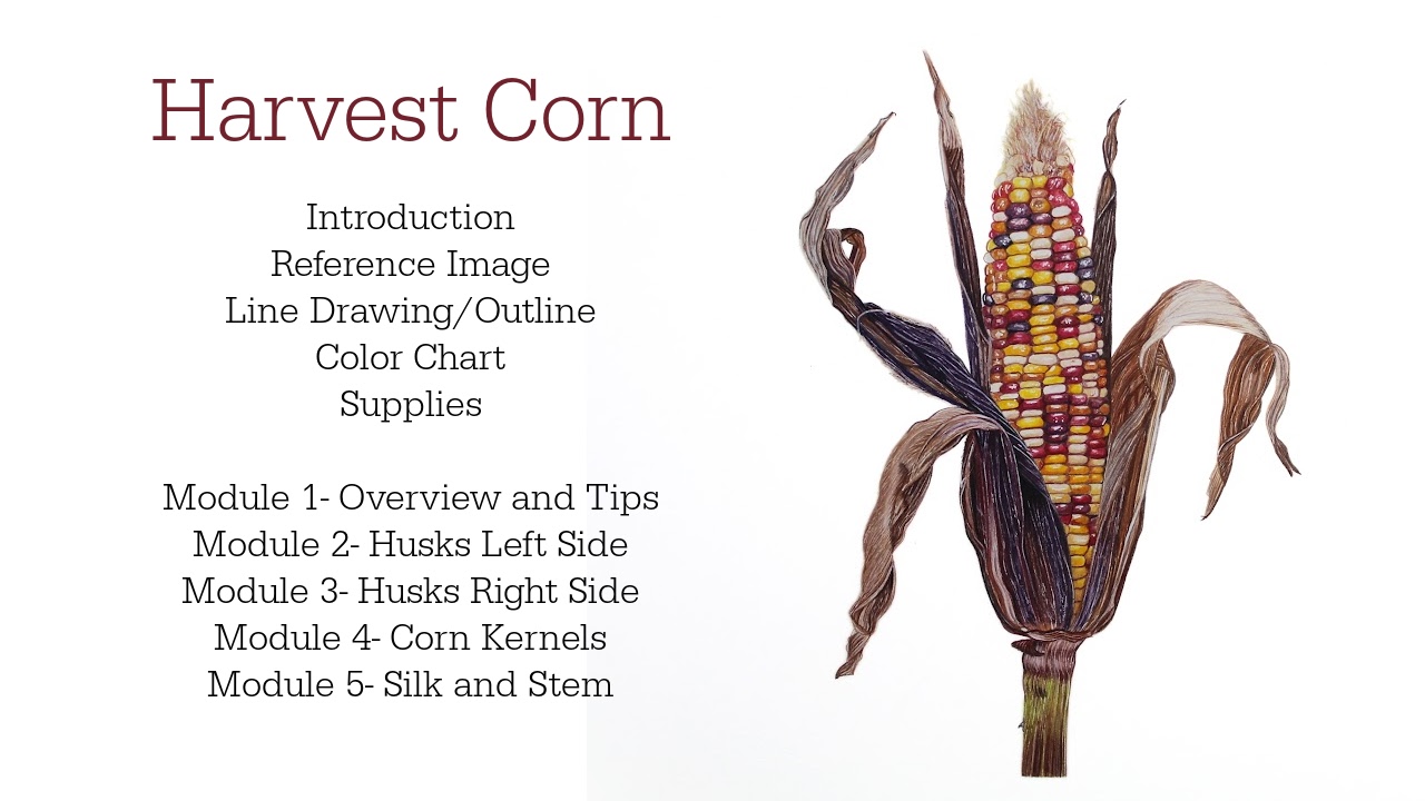 Link to Colored Pencil Drawing Tutorial of a Blue Mum