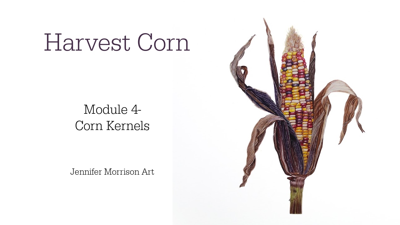 Link to Colored Pencil Drawing Tutorial of Blue Grapes