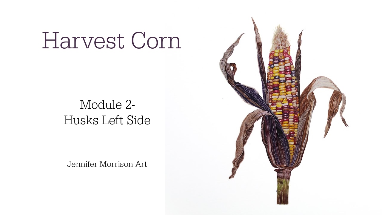 Link to Colored Pencil Drawing Tutorial of Blue Grapes