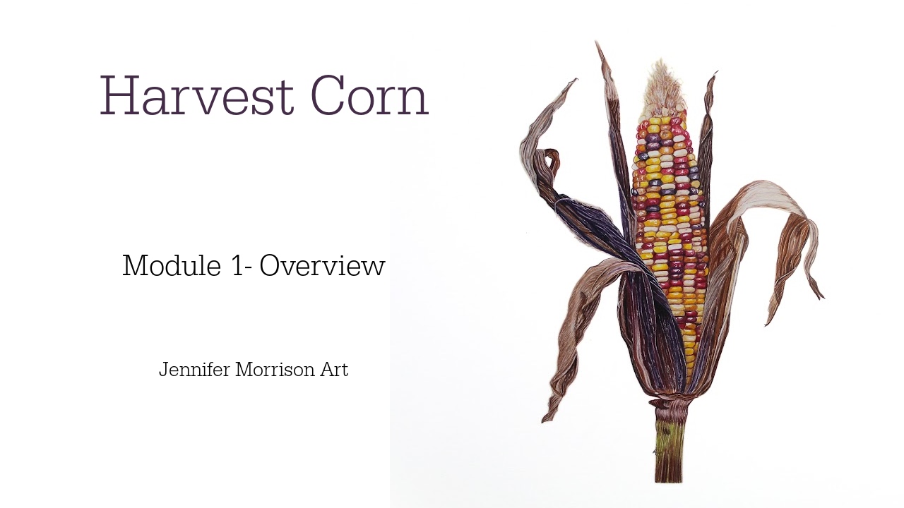 Link to Colored Pencil Drawing Tutorial of Blue Grapes