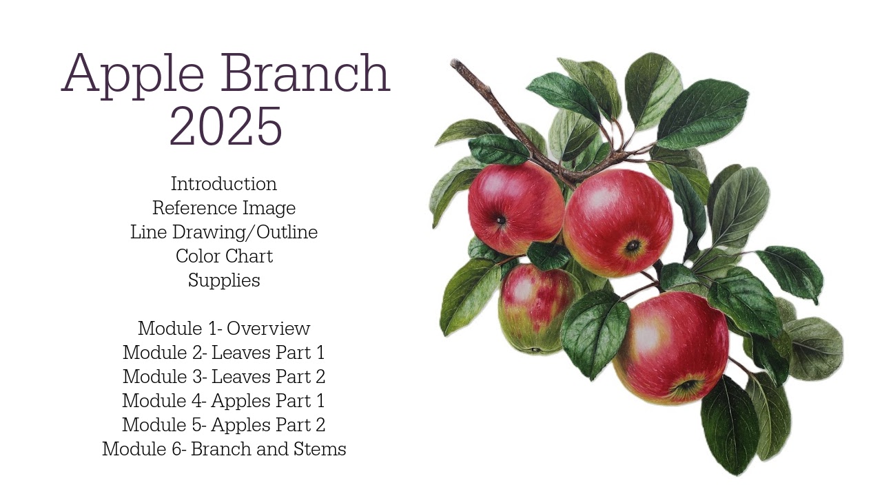 Link to Colored Pencil Drawing Tutorial of a Blue Mum