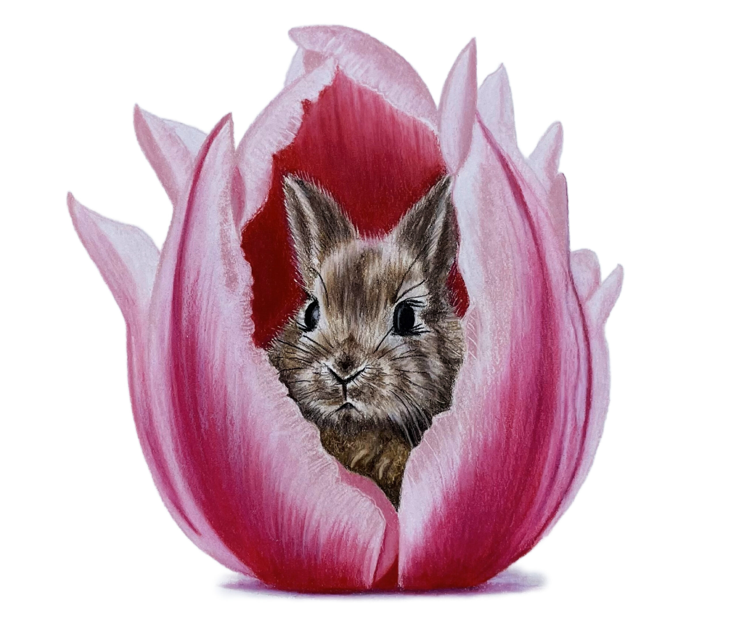 Colored Pencil Drawing of a Blue and Red Butterfly