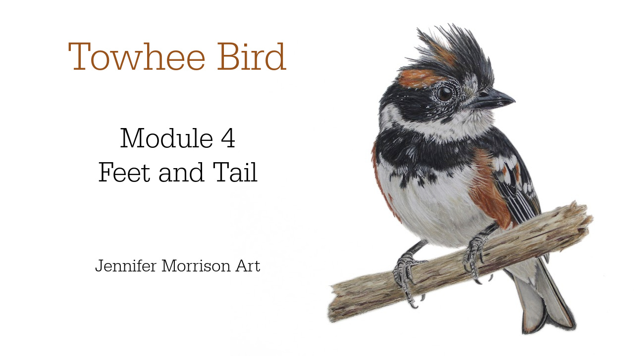 Link to Colored Pencil Drawing Tutorial of Blue Grapes