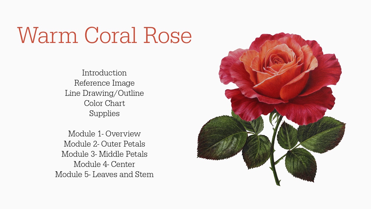 Link to Colored Pencil Drawing Tutorial of a Blue Mum