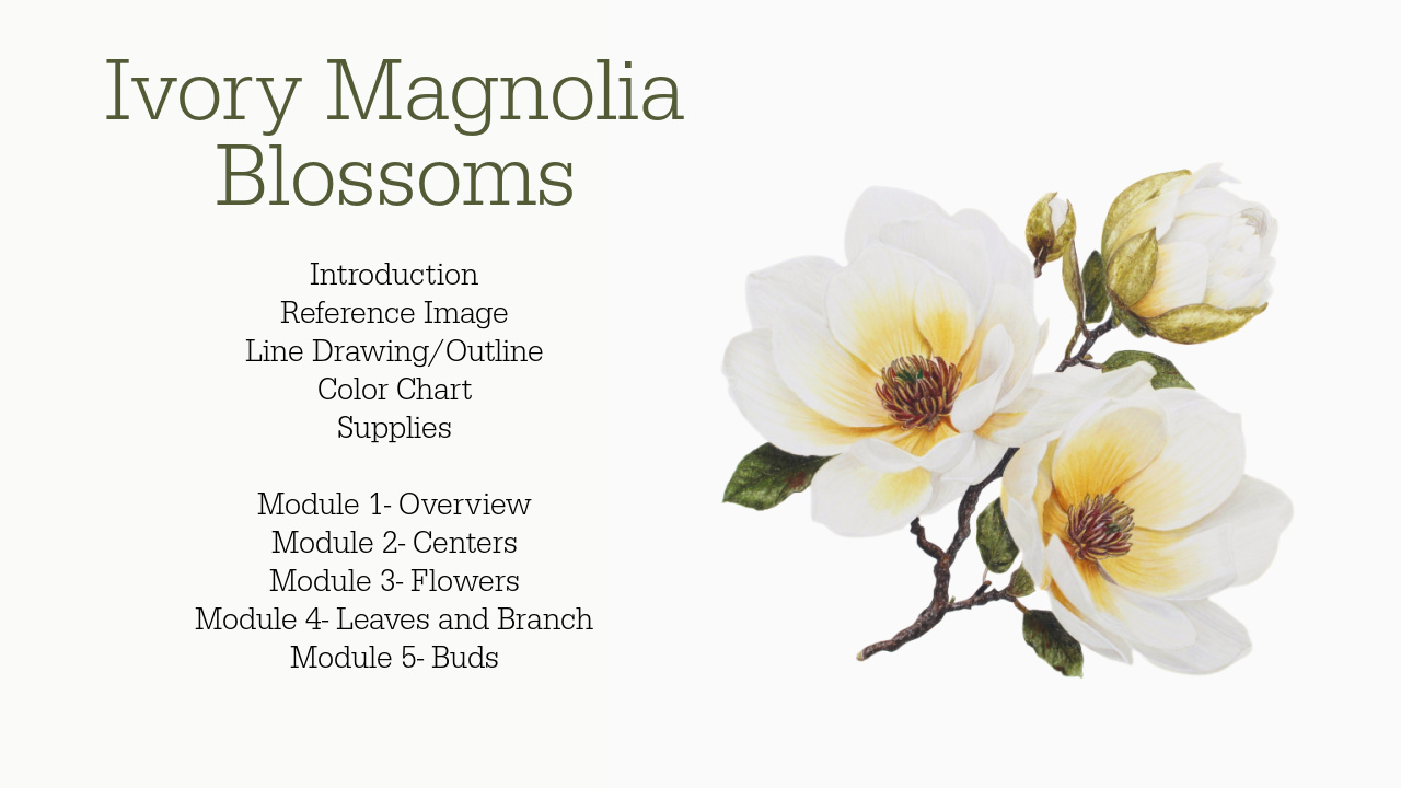 Link to Colored Pencil Drawing Tutorial of a Blue Mum