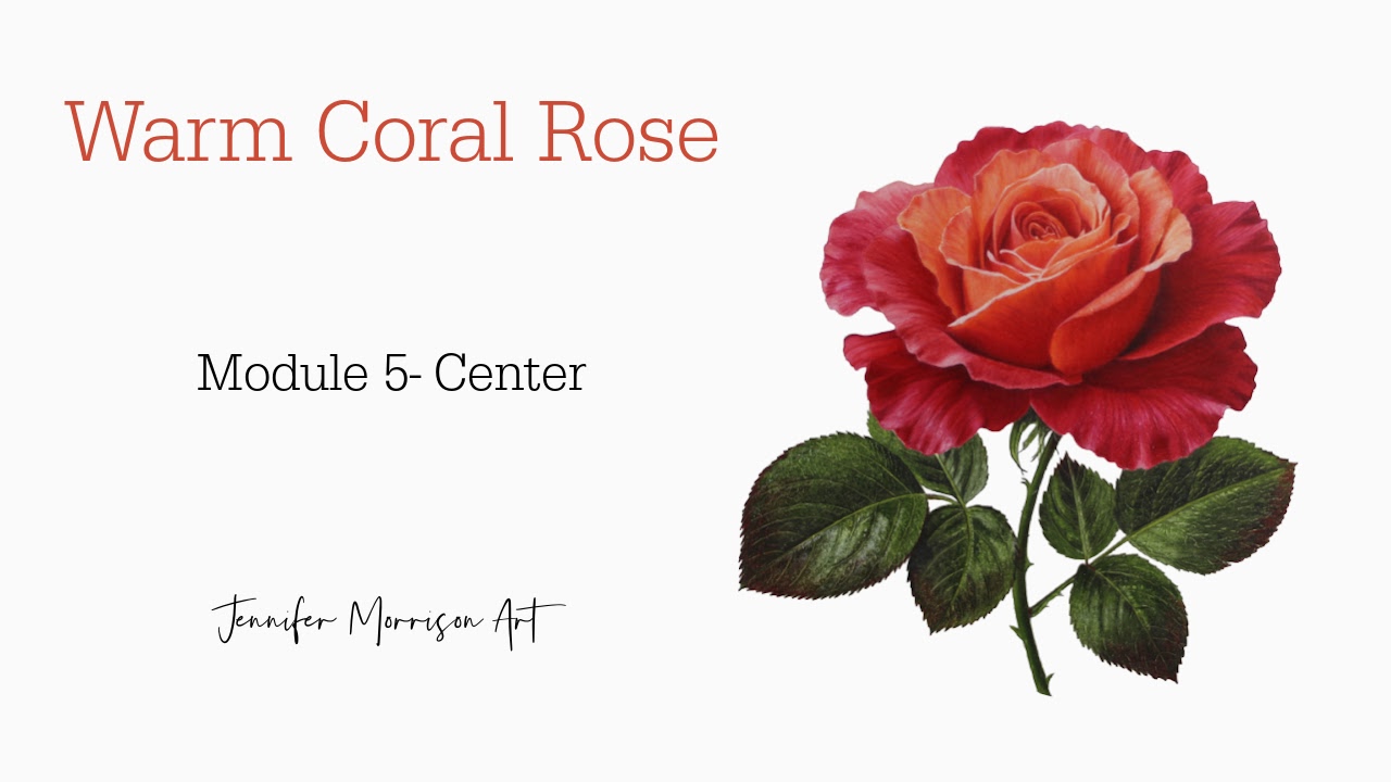 Link to Colored Pencil Drawing Tutorial of Blue Grapes