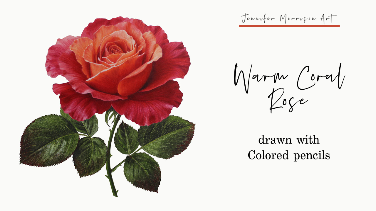 Link to Colored Pencil Drawing Video of a Blue Mum