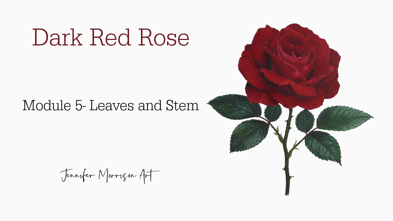 Link to Colored Pencil Drawing Tutorial of Blue Grapes