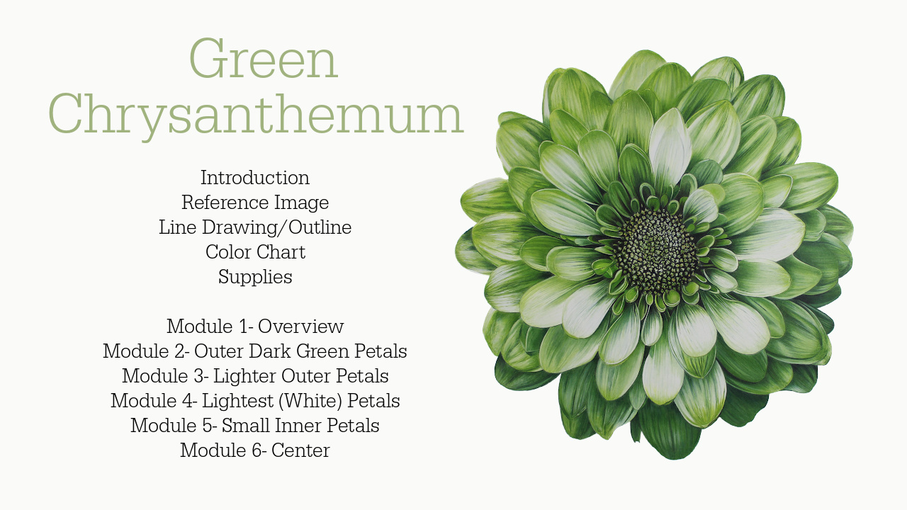 Link to Colored Pencil Drawing Tutorial of a Blue Mum