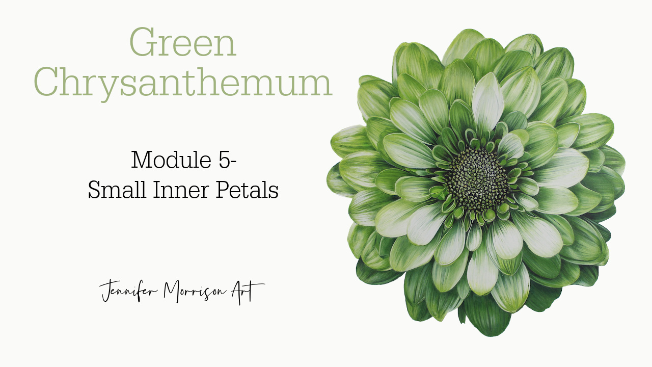 Link to Colored Pencil Drawing Tutorial of Blue Grapes